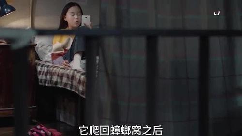 三姐爆料视频大全集,揭秘背后真相与精彩瞬间  第2张